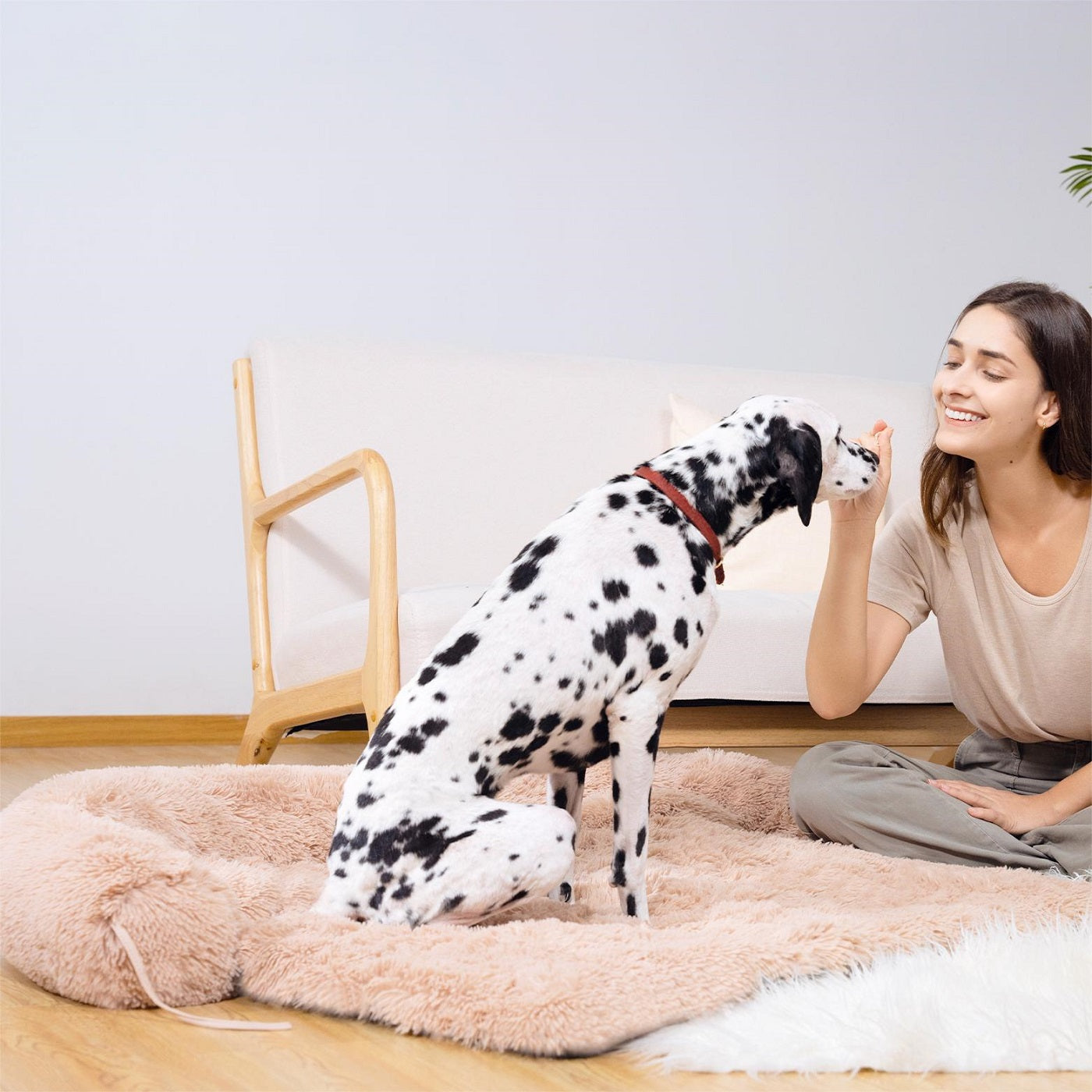 Algherohein Dog Beds for Large Medium Small Size,Washable Dog Crate Mat Pet Bed
