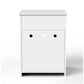 Algherohein Wooden Multi-Function Pet Cat House, Cat Condo Nightstand with Drawer,Vibrant Life