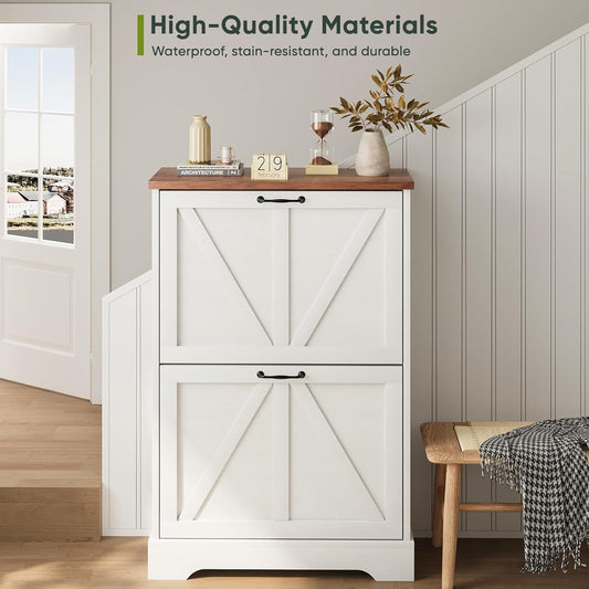Semiocthome Shoe Cabinet with 2 Flip Drawers