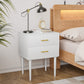 Algherohein Classic Morden Nightstand with 2 Drawers for Bedroom